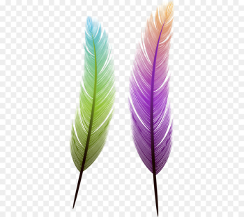 Bird Feather Euclidean vector - feather Bird Feather Euclidean vector - feather