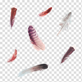 Bird Feather , feather transparent background PNG clipart Bird Feather , feather transparent background PNG clipart
