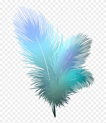 Bird, Feather Transparent - Feather Clipart Transparent Background Bird, Feather Transparent - Feather Clipart Transparent Background