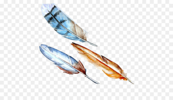 Bird Feather Watercolor painting - Feather watercolor picture material 