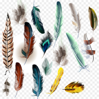 Bird Feather Watercolor painting Illustration - Vector feather decoration 