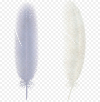 Bird Feather Wing - White feathers Bird Feather Wing - White feathers