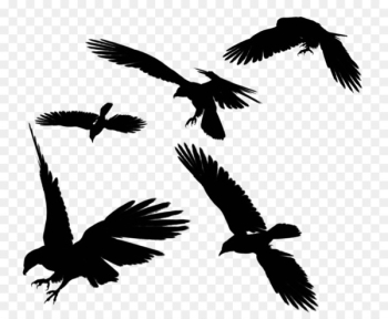 Bird flight Bird flight Clip art - Raven Flying PNG Photos Bird flight Bird flight Clip art - Raven Flying PNG Photos