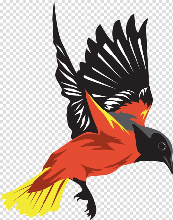 Bird flight Bird flight Wing, Colorful wild goose transparent background PNG clipart Bird flight Bird flight Wing, Colorful wild goose transparent background PNG clipart