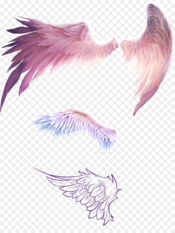 Bird Flight Wing Feather - Fantasy wings Bird Flight Wing Feather - Fantasy wings