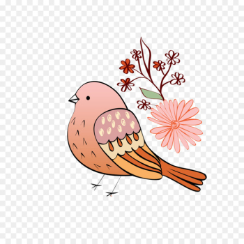Bird Flower - Birds and Flowers Bird Flower - Birds and Flowers