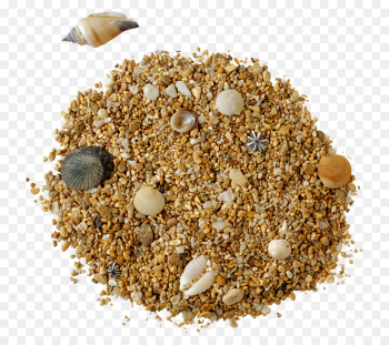 bird food food oat bran cuisine dish bird food food oat bran cuisine dish