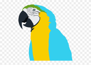 Bird,free - Parrot Bird,free - Parrot