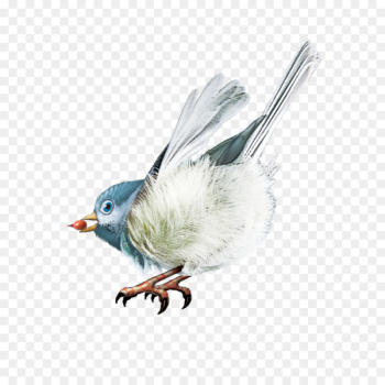 Bird Gongbi Clip art - Birds Bird Gongbi Clip art - Birds