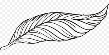 Bird Goose Feather - Beautiful peacock feather artwork Bird Goose Feather - Beautiful peacock feather artwork