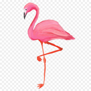Bird Greater flamingo American flamingo T-shirt - flamingos Bird Greater flamingo American flamingo T-shirt - flamingos