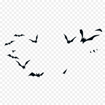 Bird Halloween Silhouette - Cry Halloween witch silhouette birds 