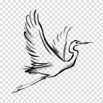 Bird illustration, Bird Crane, white crane transparent background PNG clipart Bird illustration, Bird Crane, white crane transparent background PNG clipart
