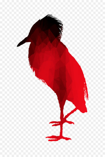 Bird Illustration Design Beak Ibis -  
