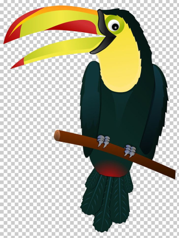 Bird Keel-billed Toucan PNG, Clipart, Beak, Bird, Clip Art ...
