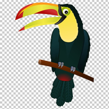 Bird Keel-billed Toucan Snake PNG, Clipart, Beak, Big Bird, Big ...