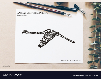 bird mandala vintage decorative elements bird mandala vintage decorative elements
