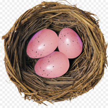 Bird nest Deviled egg Bird nest - Nest Bird nest Deviled egg Bird nest - Nest