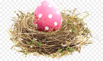 Bird nest Easter - Nest Bird nest Easter - Nest