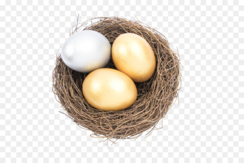 Bird nest Egg Bird nest - Nest egg Bird nest Egg Bird nest - Nest egg