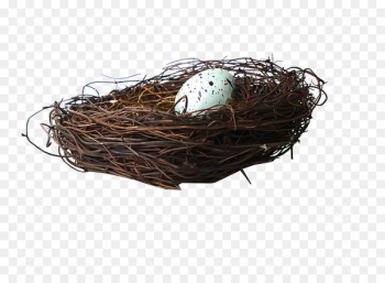 Bird Nest Egg - Brown nest eggs Bird Nest Egg - Brown nest eggs
