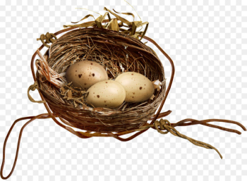 Bird Nest Egg Clip art - Nest Bird Nest Egg Clip art - Nest