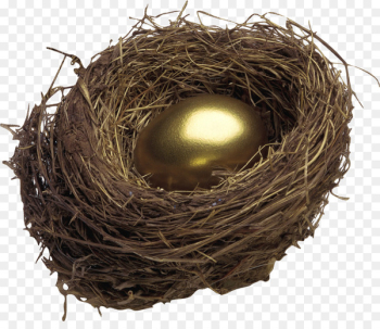 Bird nest Egg - nest Bird nest Egg - nest