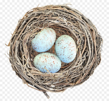 Bird Nest Egg - Nest eggs Bird Nest Egg - Nest eggs
