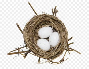 Bird Nest Egg - Nest eggs Bird Nest Egg - Nest eggs