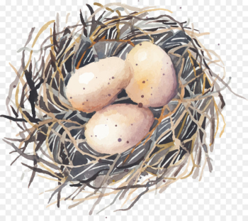 Bird nest Swallow - Hand painted bird eggs Bird nest Swallow - Hand painted bird eggs