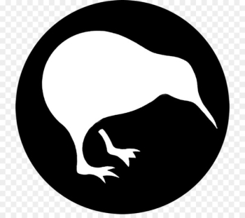 Bird New Zealand Kiwi Beak - kiwi bird Bird New Zealand Kiwi Beak - kiwi bird