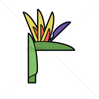 Bird of paradise Bird of paradise
