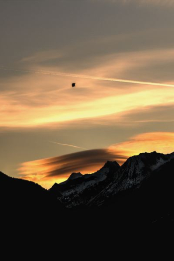 bird on flight above mountain bird on flight above mountain