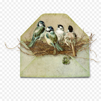Bird Paper Scrapbooking Envelope Clip art - envelope Bird Paper Scrapbooking Envelope Clip art - envelope