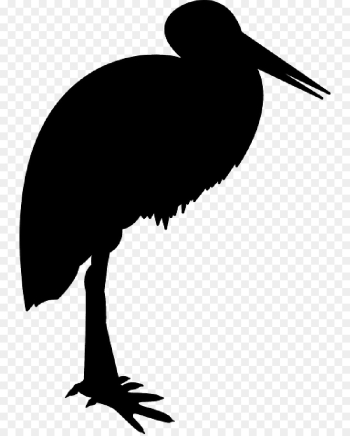 Bird, Performing Arts, Water Bird, Beak PNG Bird, Performing Arts, Water Bird, Beak PNG