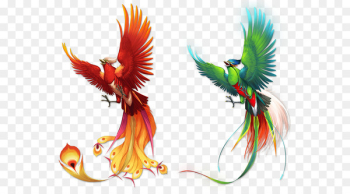 Bird Phoenix Fenghuang - Phoenix color pattern Bird Phoenix Fenghuang - Phoenix color pattern