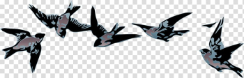 Bird Rock dove Sparrow Feather Beak, Bird transparent background PNG clipart Bird Rock dove Sparrow Feather Beak, Bird transparent background PNG clipart