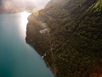 bird's eye view of house near cliff covered with trees bird's eye view of house near cliff covered with trees