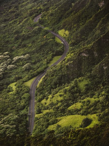 bird's eye view photography of concrete road between tall trees bird's eye view photography of concrete road between tall trees