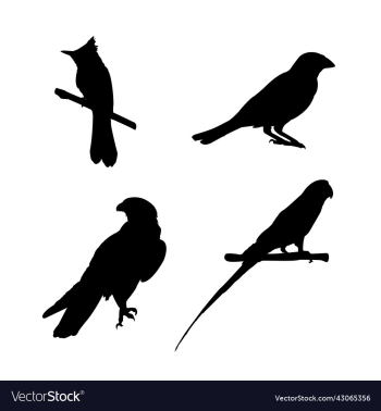 bird silhouette bird silhouette