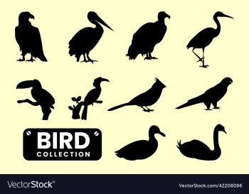 bird silhouette collection bird silhouette collection