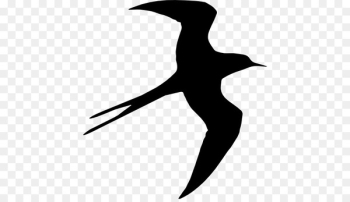 Bird Silhouette Swallow Drawing - Bird Bird Silhouette Swallow Drawing - Bird