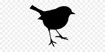 Bird, Stand, Silhouette, Nature - Wren Bird, Stand, Silhouette, Nature - Wren