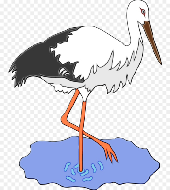 bird stork beak white stork crane-like bird bird stork beak white stork crane-like bird