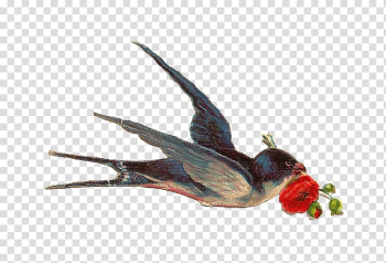 Bird Swallow , watercolor animals transparent background PNG clipart Bird Swallow , watercolor animals transparent background PNG clipart