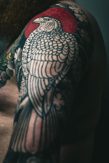 Bird Tattoo Bird Tattoo