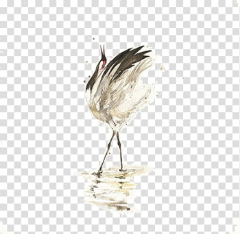Bird u660eu53f0 Crane, White Crane transparent background PNG clipart Bird u660eu53f0 Crane, White Crane transparent background PNG clipart
