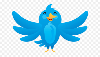 Bird Vector graphics Parrot Illustration Computer Icons - bird 