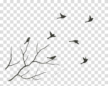 Bird Watercolor painting Art Flight, Bird transparent background PNG clipart Bird Watercolor painting Art Flight, Bird transparent background PNG clipart