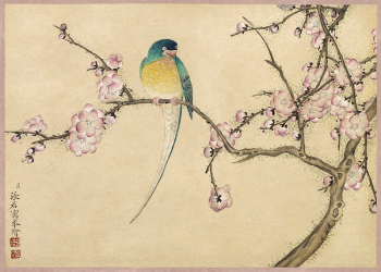 Bird with Plum Blossoms (18th | Free Photo Illustration - rawpixel